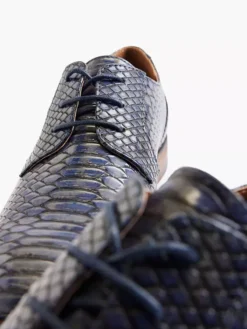 Blauwe Veterschoen Slangenprint -Beroemde Schoenen Winkel 2162271 H5