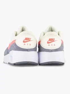 Nike Grijze Air Max -Beroemde Schoenen Winkel 2197723 H4